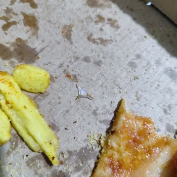 Pizza Hut Pizzada Plastik, Keskin Yabancı Madde.