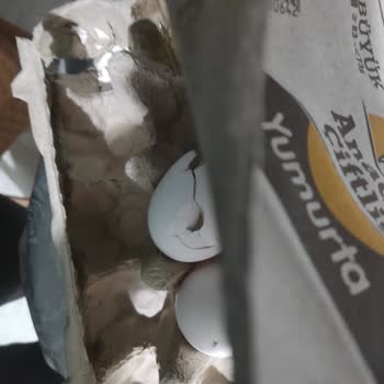 Anadolu Çiftliği 15 Yumurtanın 4 Ü Kırık