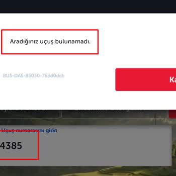 Türk Hava Yolları Üst Üste Uçuş İptalleri Ve İade Sağlamaması.