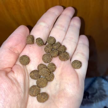 Markamama Bozuk Mama Problemi