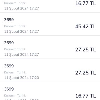 Faturama Yansıyan Playweez Üyelik Ücreti