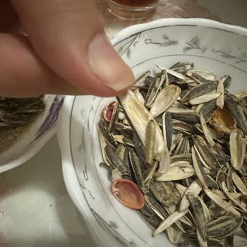 BİM'den Aldığım Dakota Çekirdekten Kurt Çıktı!