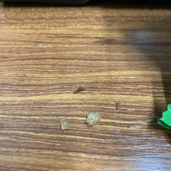 BİM Böyle Büyük Bir Firmanın Böyle Bir Hatası Kabul Edilemez