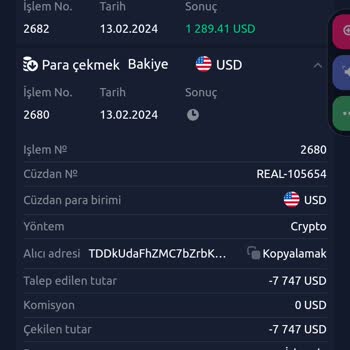 Skype Wallet Almanya Merkezli Yatırım