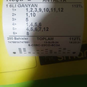 Türkiye Jokey Kulübü (TJK) Doğan B**** Adana