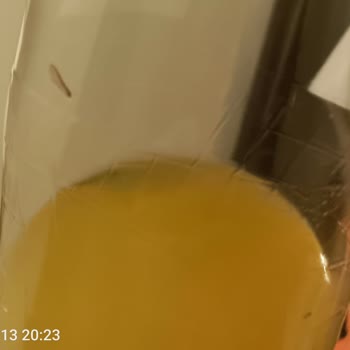 BİM Sarıyer Kola'da Şaşırtan Misafir!