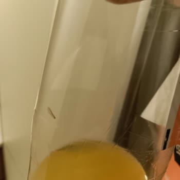 BİM Sarıyer Kola'da Şaşırtan Misafir!