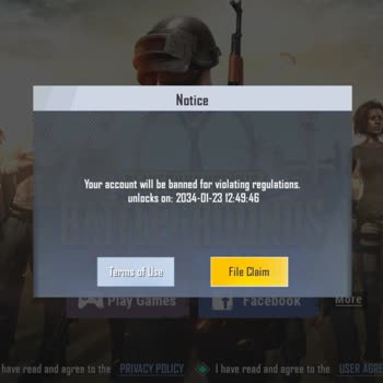 Seeking Appeal for Unjustified PUBG Account Ban