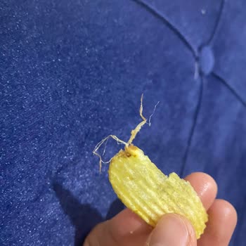 Ruffles Ürün Kalitesi Ve Müşteri Memnuniyetsizliği