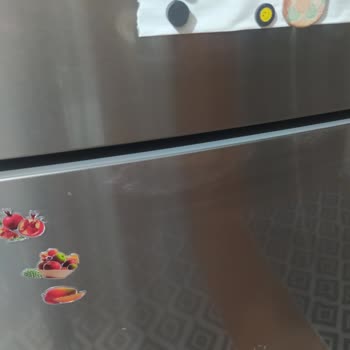 Bosch Buzdolabı Kapağında Paslama