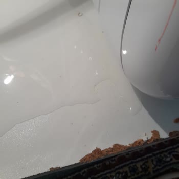 İhlas Ev Aletleri İhlas Su Arıtma Cihazı