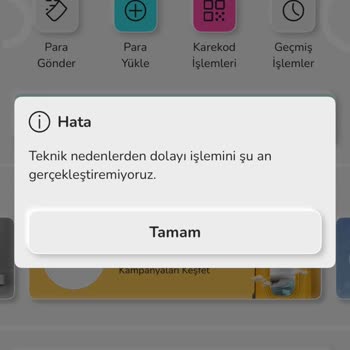 Nays Bakiyemi Çekemiyorum Hesabı Kullanamıyorum