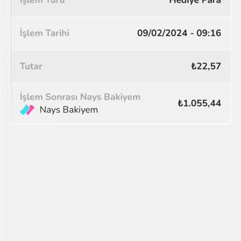 Nays Bakiyemi Çekemiyorum Hesabı Kullanamıyorum