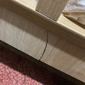 Çilek Mobilya Mocha Çatısız Genç Yatağı Kırıldı