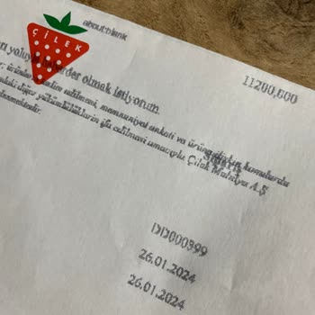 Çilek Mobilya Mocha Çatısız Genç Yatağı Kırıldı