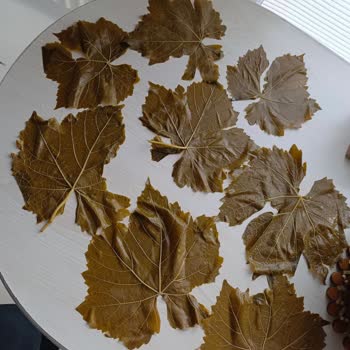 Koy_mahsulleri (Instagram) Sosyal Medya Üzerinden Satın Alınan Yaprakların Kalitesi Hakkında Geri Bildirim