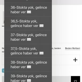 Converse Convers Chuck 70 Fall Tone Stok