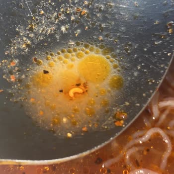 İndomie Noodle Kurtçuk Çıktı