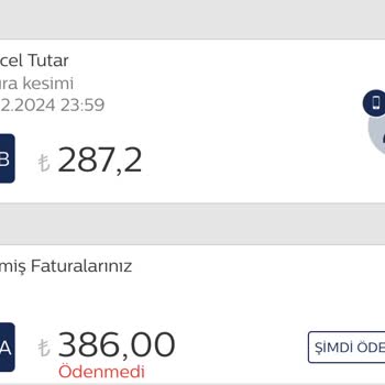 Türk Telekom Telefon Hattımın Anlamlandıramadığım Yüksek Fatura Tutarı