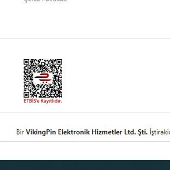Vikingpin Sitesinden Yaşadığım Sorun