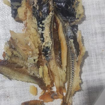Balık Dünyası (Ataşehir) Dondurulmuş Sardalye Balık