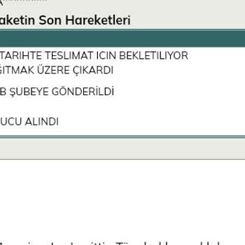 UPS Türkiye Öncelikli Kargosu Bile 1 Hafta Sürüyor
