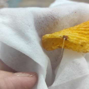 Fritolay İpli Cips Yedik