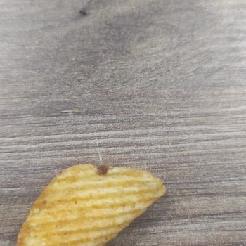 Fritolay İpli Cips Yedik