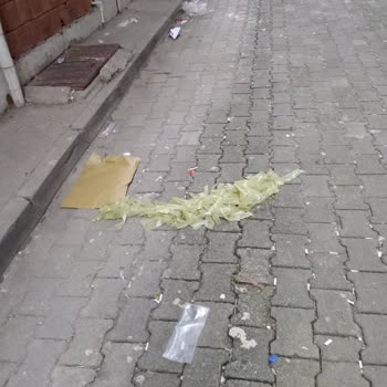 Of Belediyesi İrfanlı Mahallesi'nde Sürekli Gözden Kaçan Çöp Sorunu