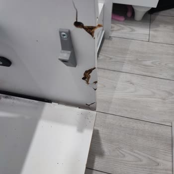 Çilek Mobilya Sağlam Değil, İlgisizler