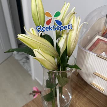 ÇiçekSepeti Çiçek Sepetinin Solmuş Çiçek Göndermesi Görselle Alakasının Olmaması