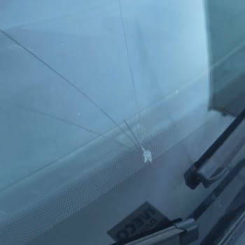 Allianz Sigorta İş Yeri Sigortası