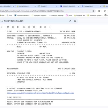 Uzbekistan Airways Paramız Çöpe Gitti
