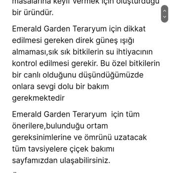 Taze Çiçek (tazecicek.com)   Çiçeği Farklı Ve Özensiz
