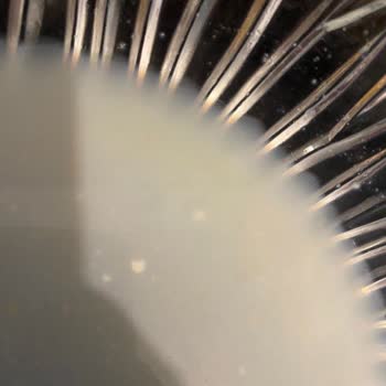 Sütaş Light Süt Şikayeti