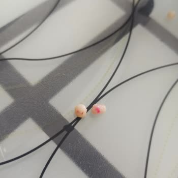 Arifoğlu Kırmızı Toz Biber