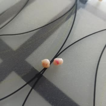 Arifoğlu Kırmızı Toz Biber