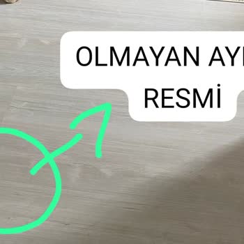 Osevio.com 14 Şubat Rezil Olma Hikayesi