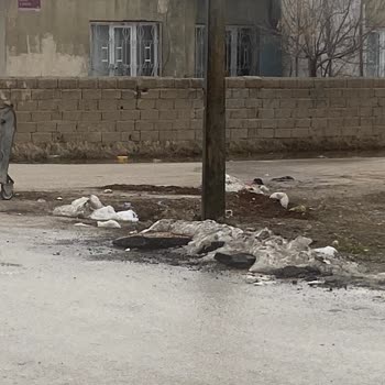 Van İpekyolu Belediyesi