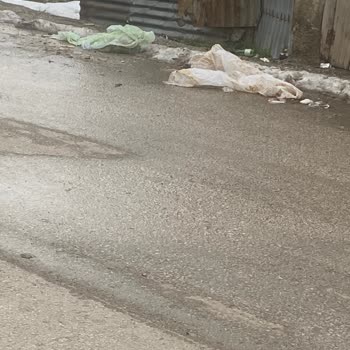 Van İpekyolu Belediyesi