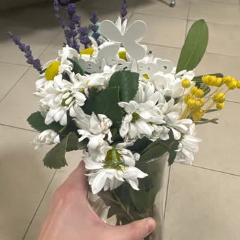 Çiçek Sepeti Pişmanlıktır