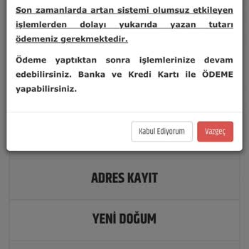 MoneyPay Fake Siteden Kredi Kartıyla Alınan Para