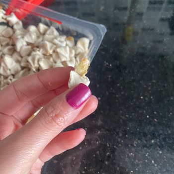 Kaşık-la Mantı Kaşıkla Mantıda Yabancı Cisim