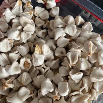 Kaşık-la Mantı Kaşıkla Mantıda Yabancı Cisim