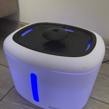 Kiwi Home Kiwi Pets Su Çeşmesi