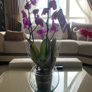 Çiçek Marketin Yaptığı Akıl Almaz Saçmalık.