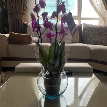 Çiçek Marketin Yaptığı Akıl Almaz Saçmalık.