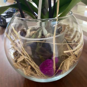 Çiçek Sepeti Mağduriyet