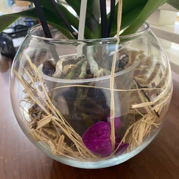 Çiçek Sepeti Mağduriyet