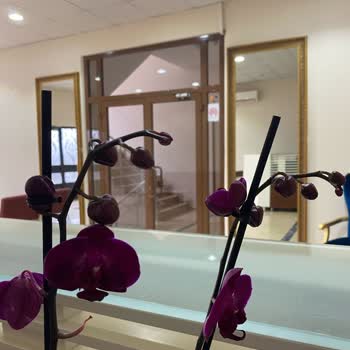 Çiçek Sepeti Mağduriyet